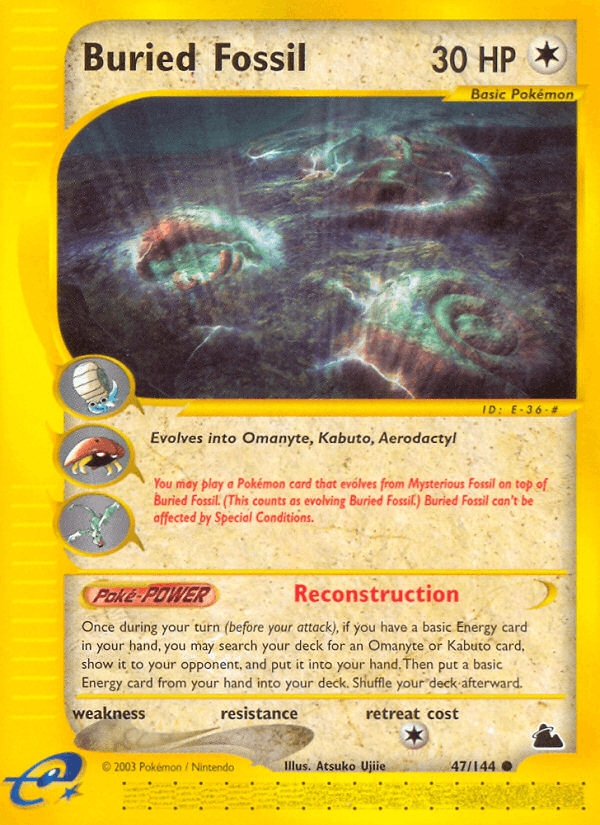 Buried Fossil — Skyridge #47