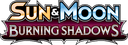 Burning Shadows