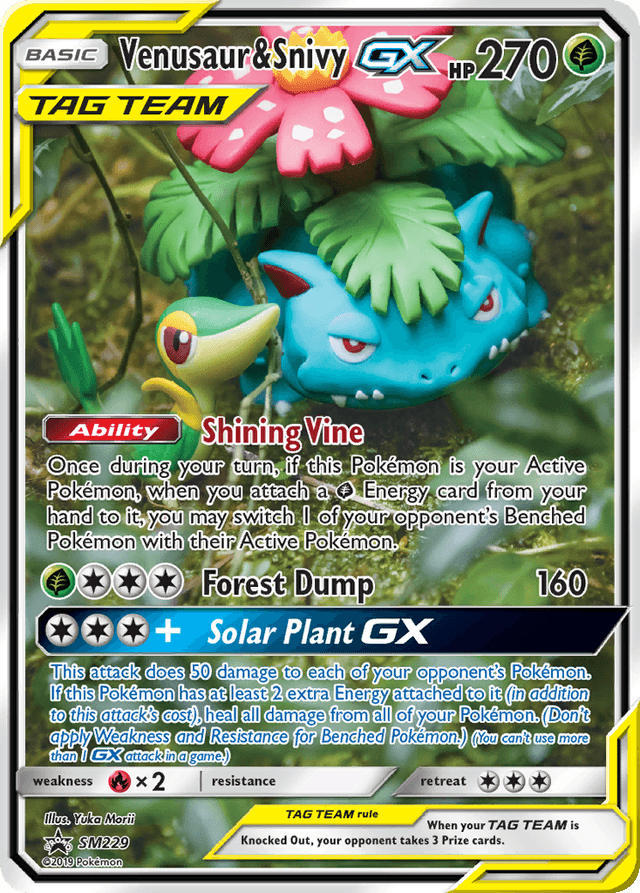 Venusaur & Snivy-GX — SM Black Star Promos #SM229