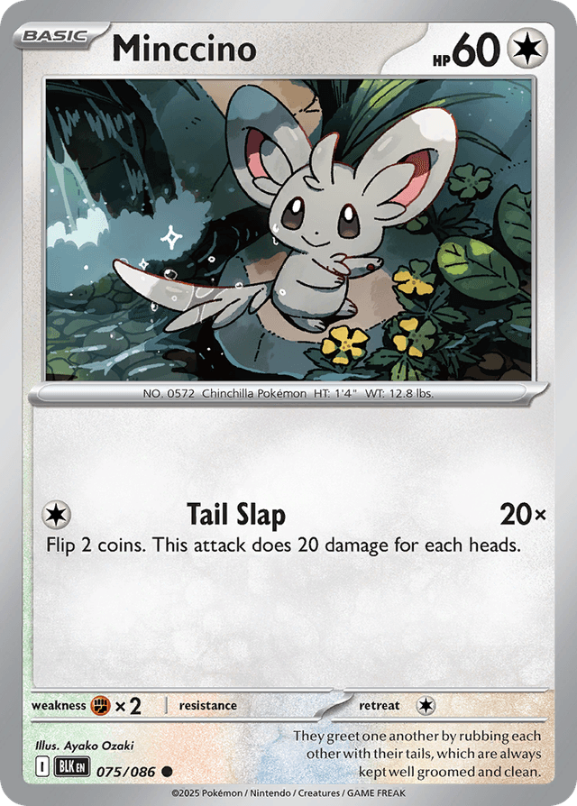 Minccino — Black Bolt #75