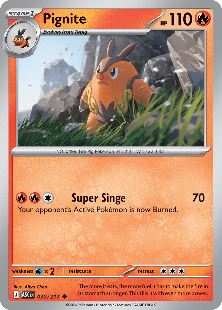 Pignite — Ascended Heroes #30