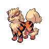 Arcanine Hisui