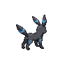 Back Shiny