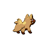 Back Shiny
