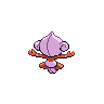 Back Shiny
