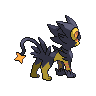 Back Shiny