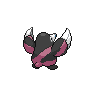 Back Shiny