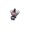 Back Shiny