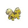 Back Shiny