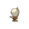 Back Shiny