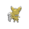 Back Shiny