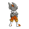 Back Shiny