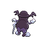 Back Shiny