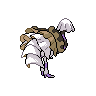 Back Shiny