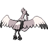 Back Shiny