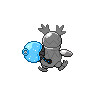 Back Shiny