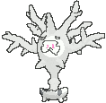 Animated