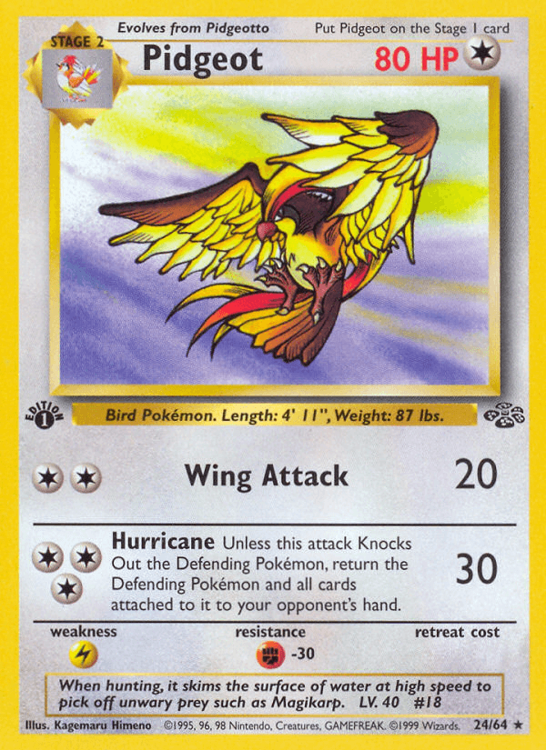 Pidgeot — Jungle #24