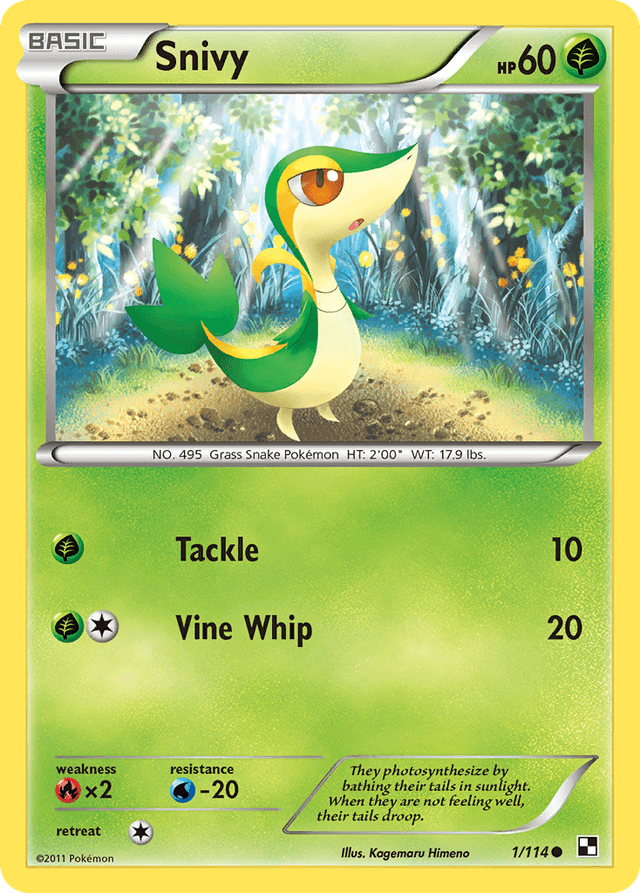 Snivy — Black & White #1