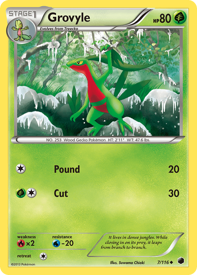 Grovyle — Plasma Freeze #7