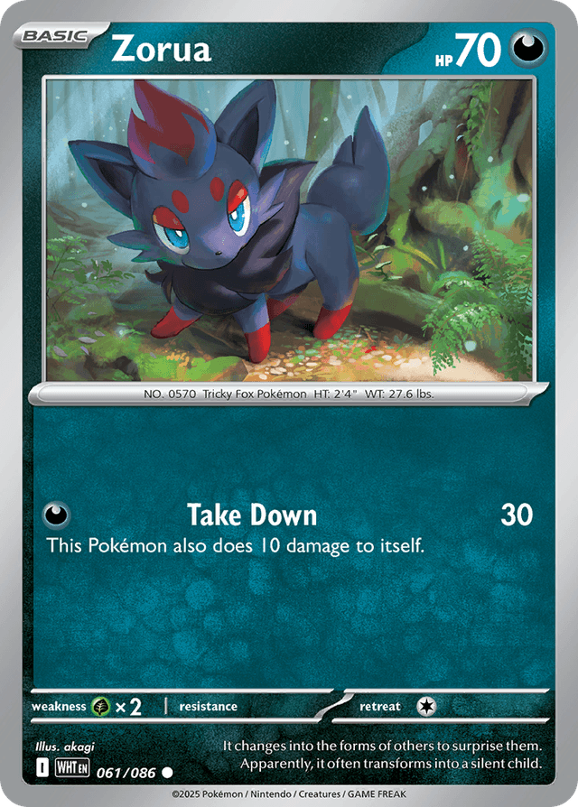 Zorua — White Flare #61
