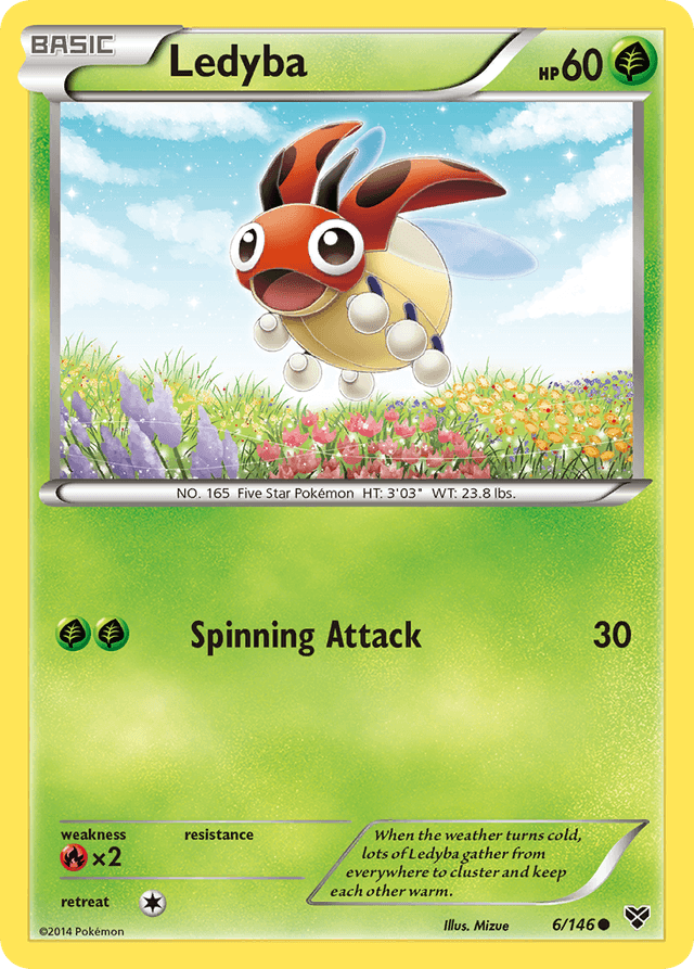 Ledyba — XY #6