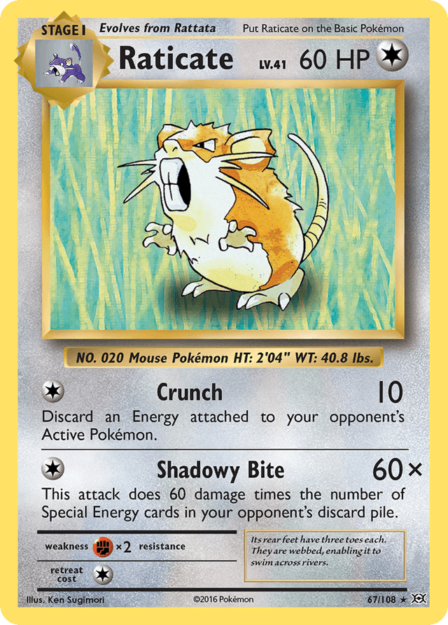 Raticate — Evolutions #67