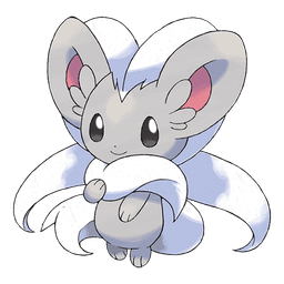 Cinccino